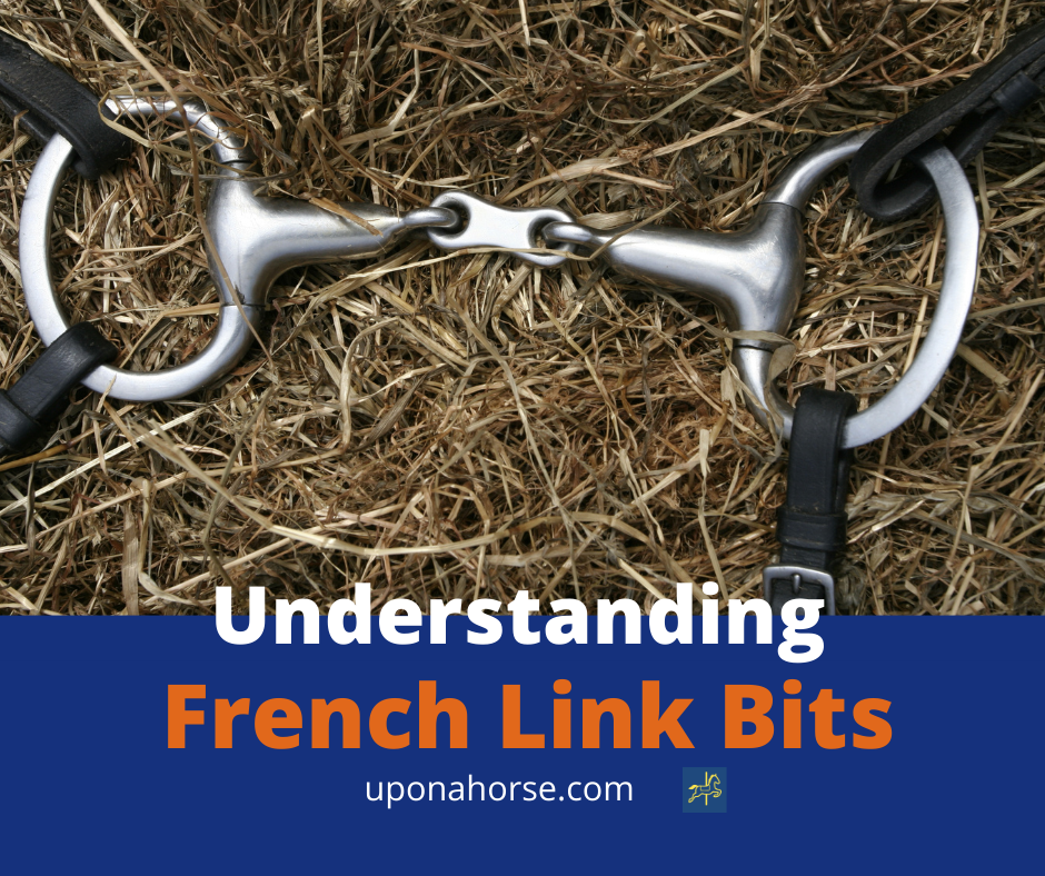 understanding-the-french-link-bit-upon-a-horse