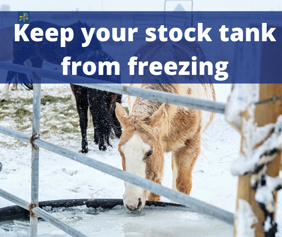 4 ways to keep your stock tanks from freezing upon a horse