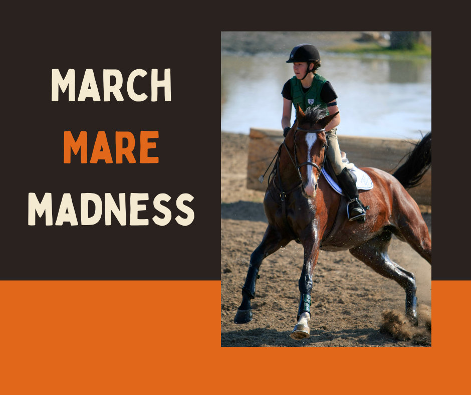 Product Review Purina Outlast Gastric Support Supplement