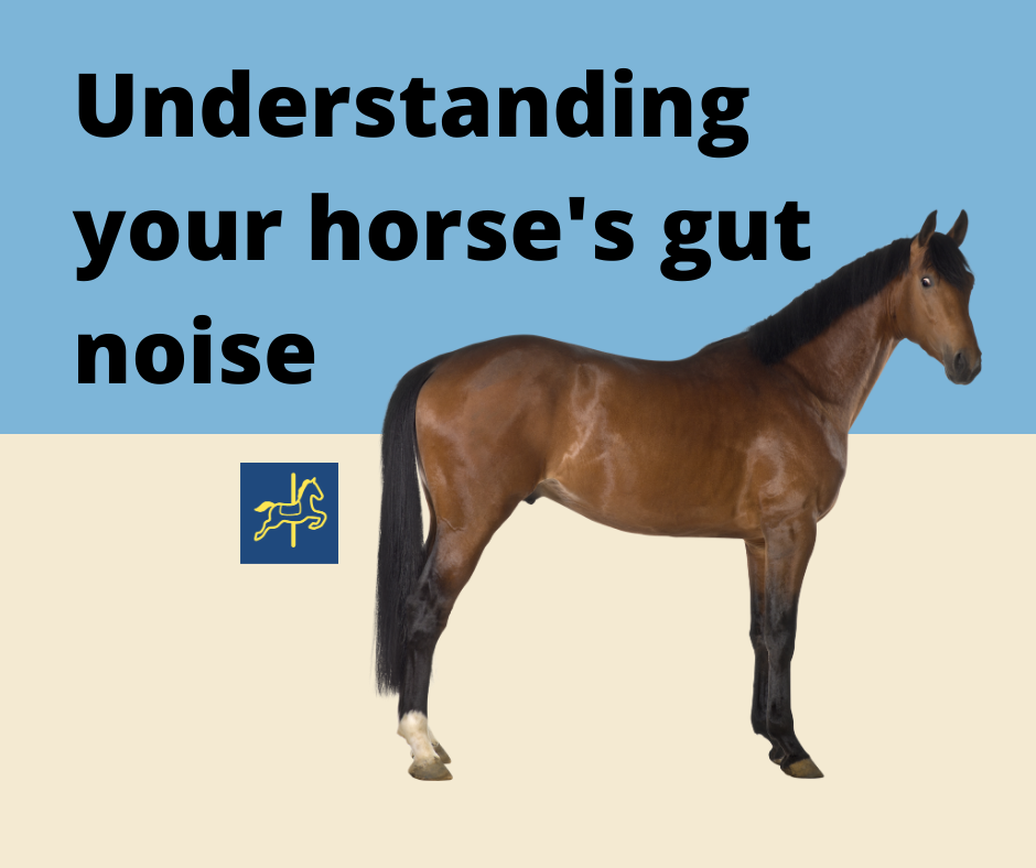 Understanding your horse’s gut noises Upon a Horse